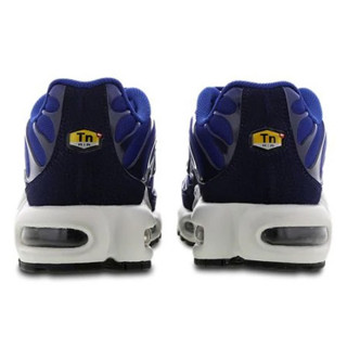 Nike Pantofi Sport AIR MAX PLUS 