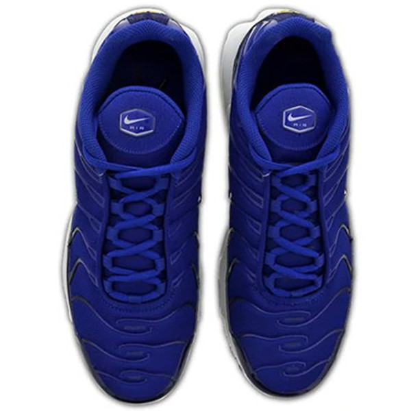 Nike Pantofi Sport AIR MAX PLUS 