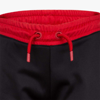 NIKE Pantaloni de trening Jordan