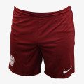 Nike Pantaloni scurti Flex Vent MAX 2.0 