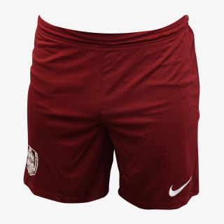 Nike Pantaloni scurti Flex Vent MAX 2.0 