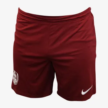 NIKE Pantaloni scurti Flex Vent MAX 2.0 