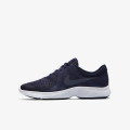 Nike Pantofi Sport NIKE REVOLUTION 4 (GS) 