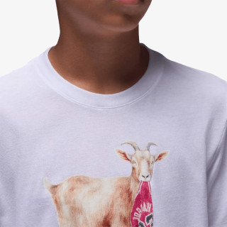 JORDAN Tricou JDB MJ FLT GOAT SS CREW 