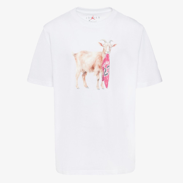 JORDAN Tricou JDB MJ FLT GOAT SS CREW 