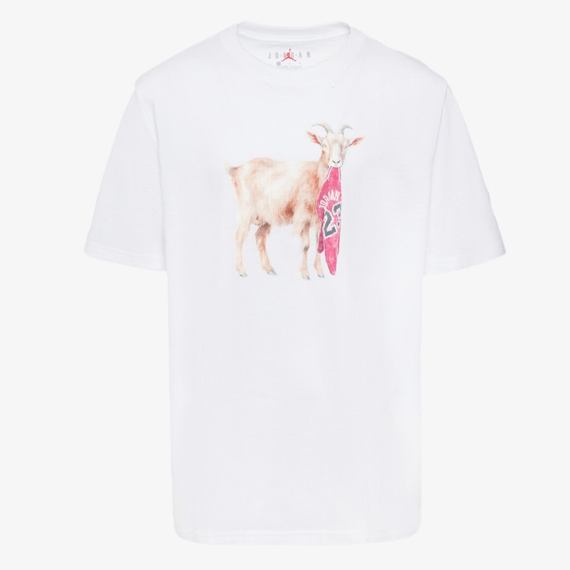 JORDAN Tricou JDB MJ FLT GOAT SS CREW 