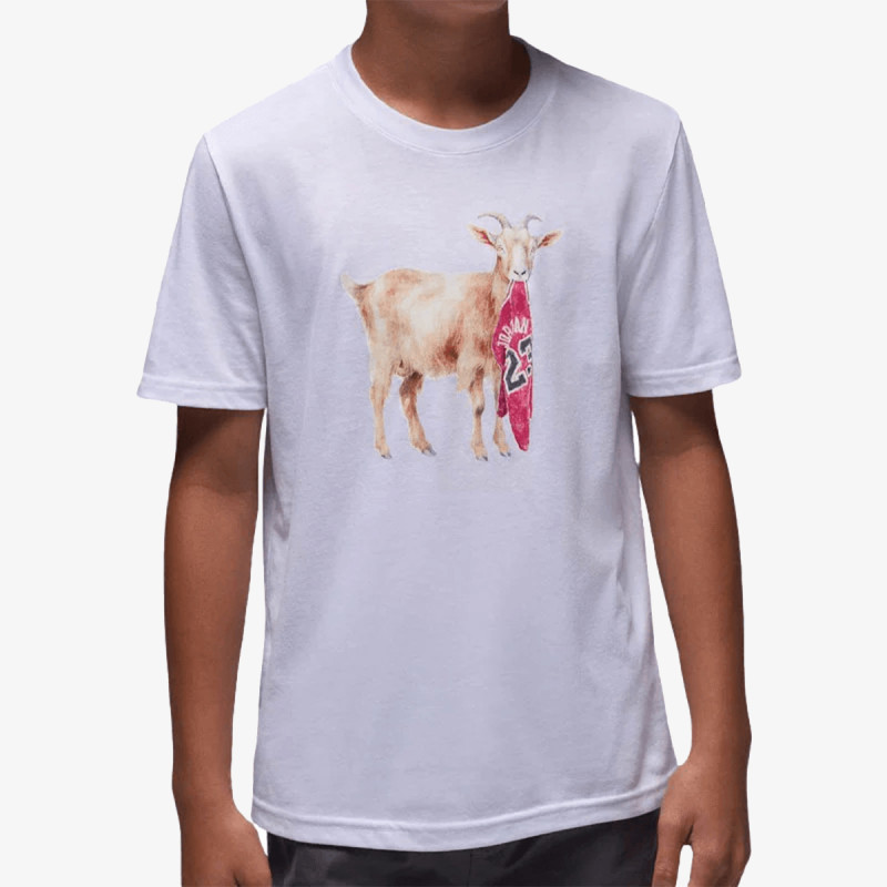JORDAN Tricou JDB MJ FLT GOAT SS CREW 