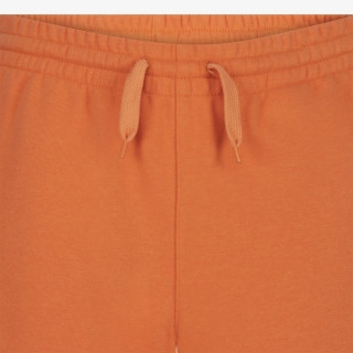 Converse Pantaloni scurti CNVN SUSTAINABLE CORE FT SHORT 