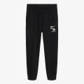 Nike Pantaloni de trening RWB 3BRAND JOGGER 
