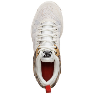 Nike Pantofi Sport NIKE ZOOM DOMINATION TR 2 