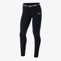 Nike Colanti G NP TGHT 