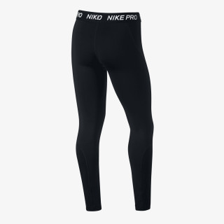 Nike Colanti G NP TGHT 