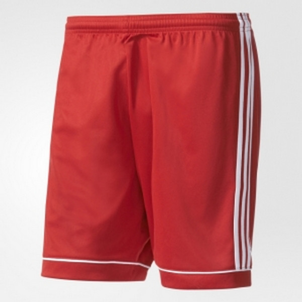 adidas Pantaloni scurti SQUAD 17 SHO 