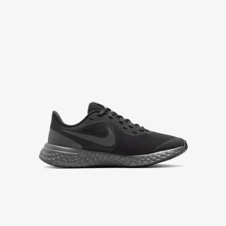 Nike Pantofi Sport REVOLUTION 5 