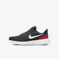 Nike Pantofi Sport REVOLUTION 5 