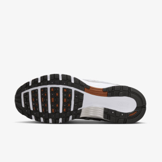 Nike Pantofi Sport W NIKE P-6000 