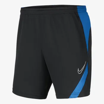 NIKE Sorturi inot DRY ACADEMY 21