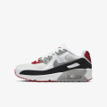 Nike Pantofi Sport Air Max 90 LTR 
