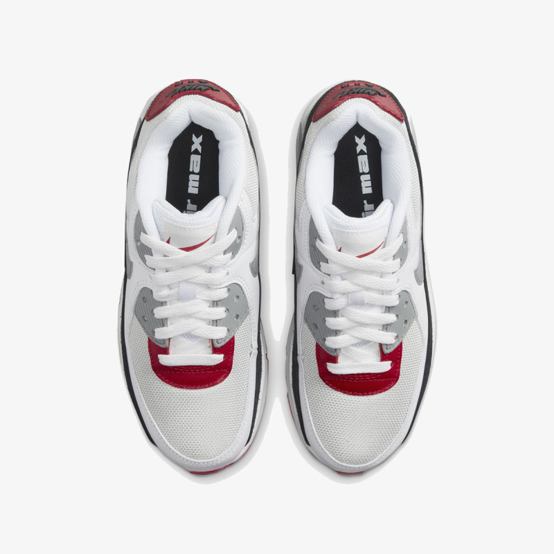 Nike Pantofi Sport Air Max 90 LTR 