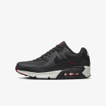 Nike Pantofi Sport Air Max 90 LT 