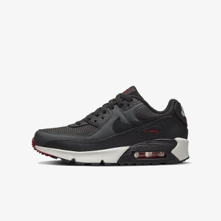 Nike Pantofi Sport Air Max 90 LT 