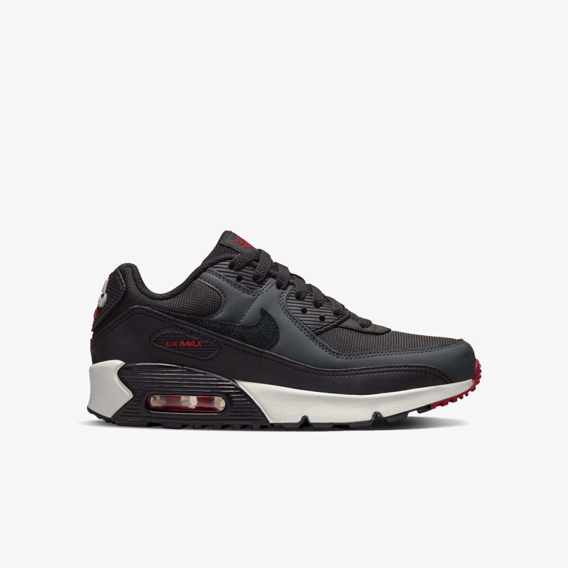 Nike Pantofi Sport Air Max 90 LT 
