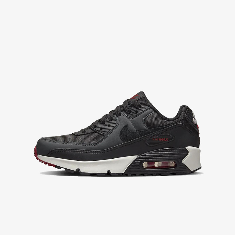 Nike Pantofi Sport Air Max 90 LT 