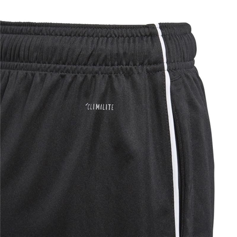 adidas Pantaloni scurti CORE18 TR SHO Y 