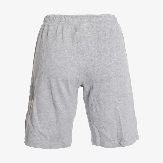 CHAMPION Pantaloni scurti BASIC SHORTS