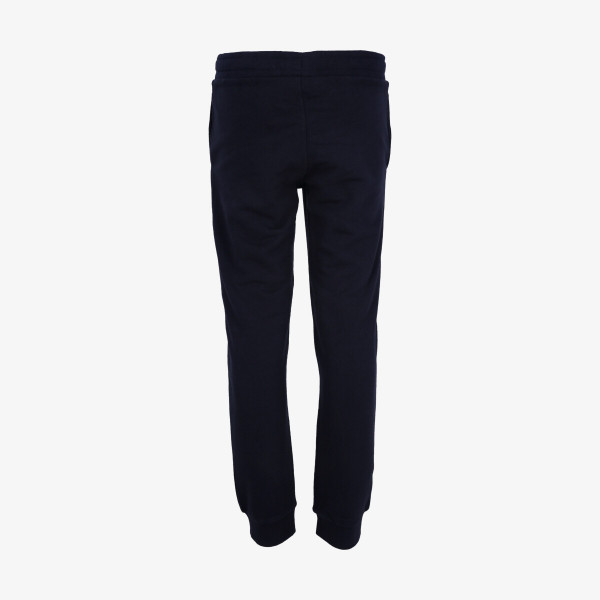 Champion Pantaloni de trening ROCH INSPIRED 