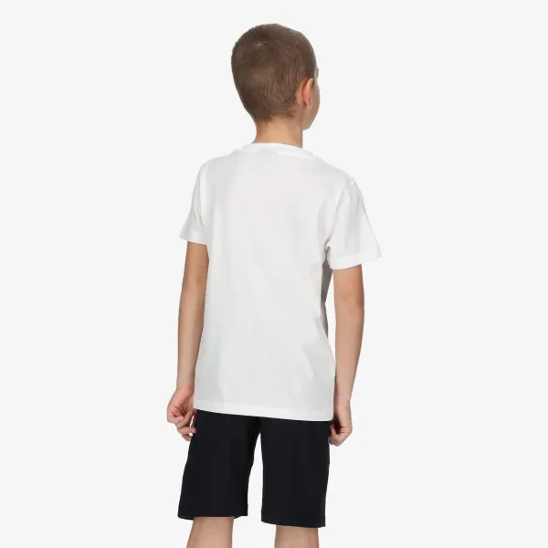 CHAMPION Set BOYS 1919 SET 