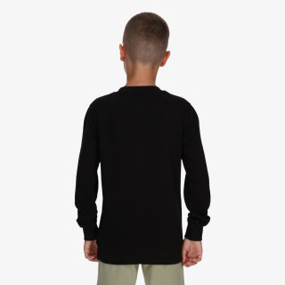 CHAMPION Hanorac BOYS COLLEGE LOGO CREWNECK 