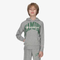 Champion Hanorac COLLEGE HOODY 