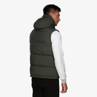 Champion Vesta Hoody 