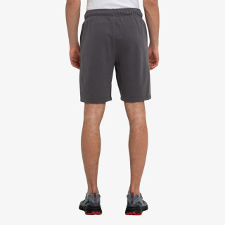 Champion Pantaloni scurti 1919 SHORTS 