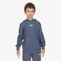 Champion Hanorac CH BASIC HOODY 