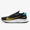 Nike Pantofi Sport NIKE PEGASUS TRAIL 2 