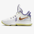 Nike Pantofi Sport LEBRON WITNESS V 