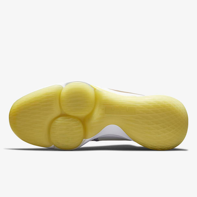 Nike Pantofi Sport LEBRON WITNESS V 