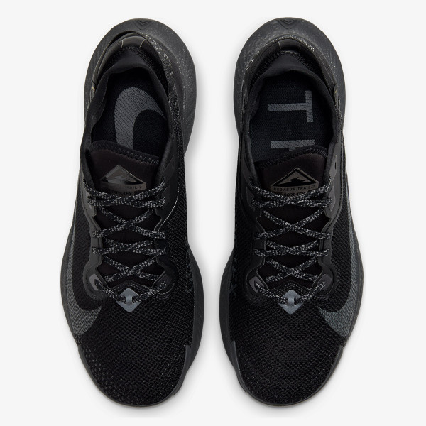 Nike Pantofi Sport NIKE PEGASUS TRAIL 2 GTX 