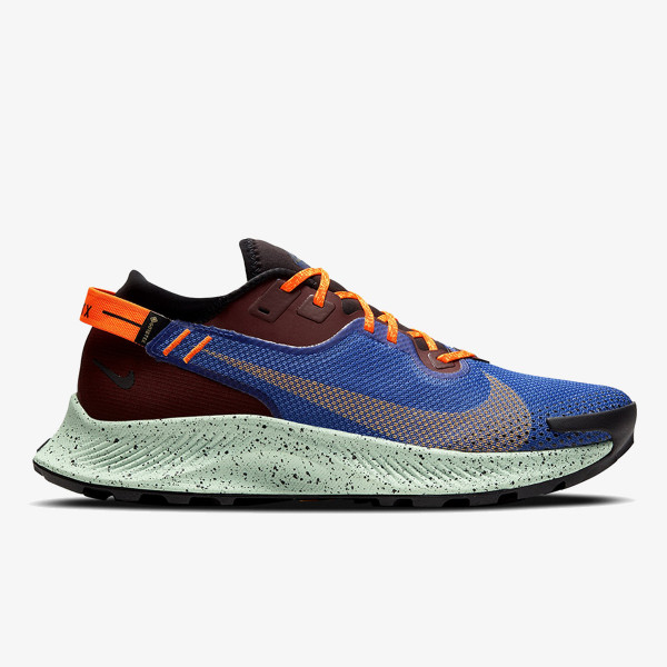 Nike Pantofi Sport NIKE PEGASUS TRAIL 2 GTX 