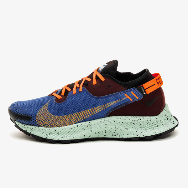 Nike Pantofi Sport NIKE PEGASUS TRAIL 2 GTX 