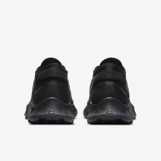 Nike Pantofi Sport W NIKE PEGASUS TRAIL 2 GTX 