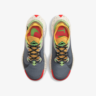 Nike Pantofi Sport PEGASUS TRAIL 2 GTX 