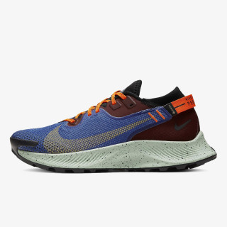 Nike Pantofi Sport PEGASUS TRAIL 2 GTX 