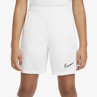 Nike Pantaloni scurti Dri-FIT Academy 21 
