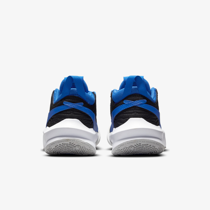 NIKE Pantofi sport TEAM HUSTLE D 10 GS