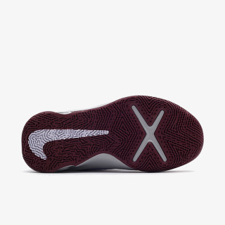 NIKE Pantofi Sport TEAM HUSTLE D 10 GS