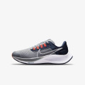 Nike Pantofi Sport Air Zoom Pegasus 38 