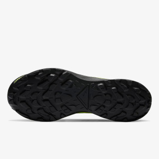 Nike Pantofi Sport NIKE PEGASUS TRAIL 2 